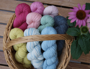 colorful yarns in a basket and a pink echinacea flower