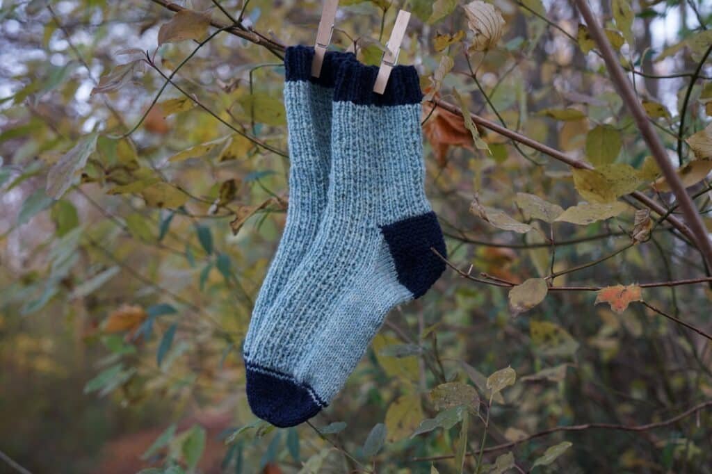 two blue socks hanging on a tree with clothespins