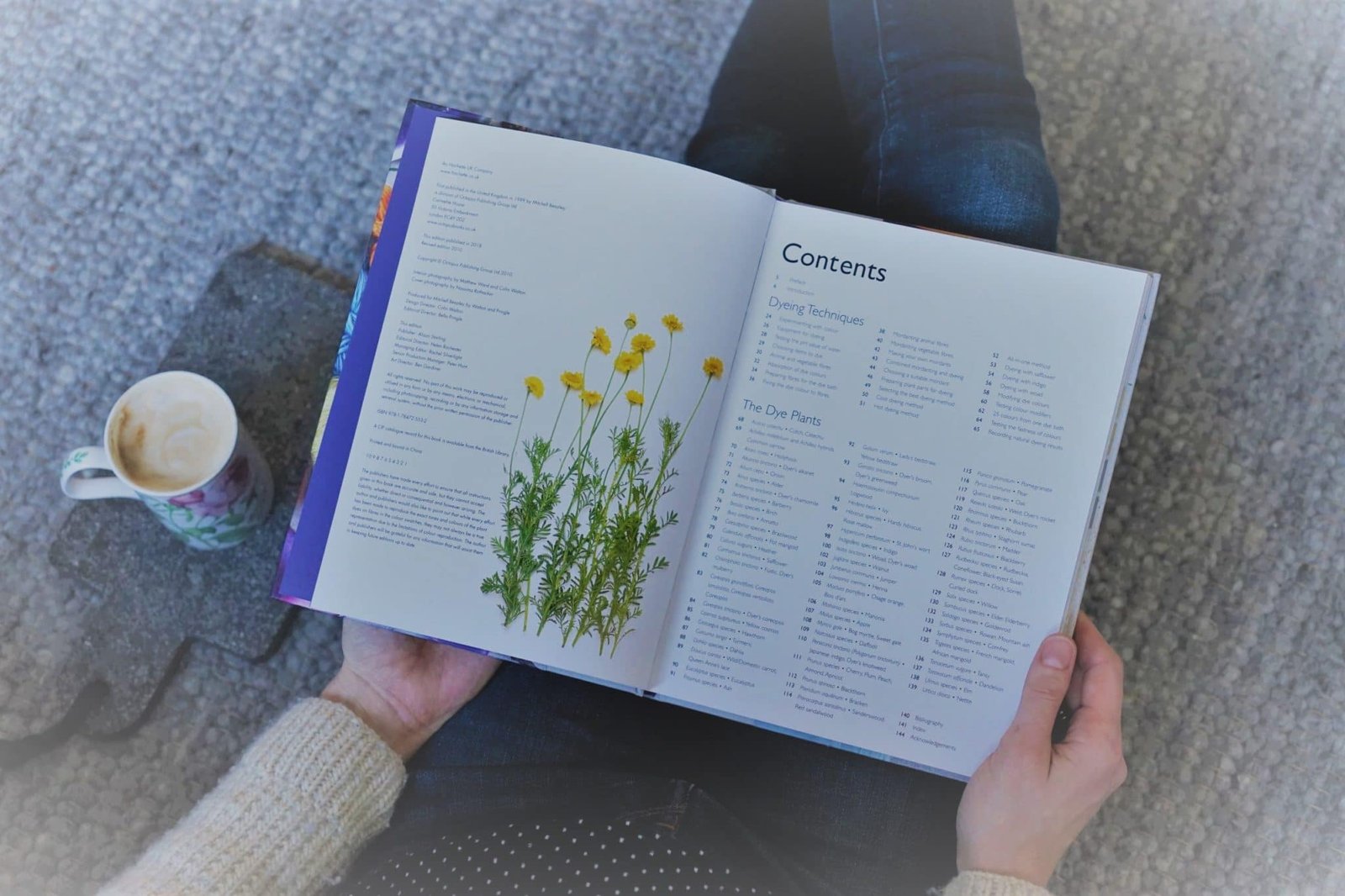 Natural Dyeing Books Rosemary And Pines Fiber Arts