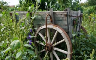 a rusty old cart overgrown by flowers and weed