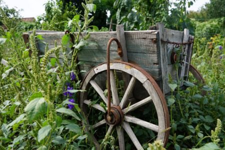 a rusty old cart overgrown by flowers and weed