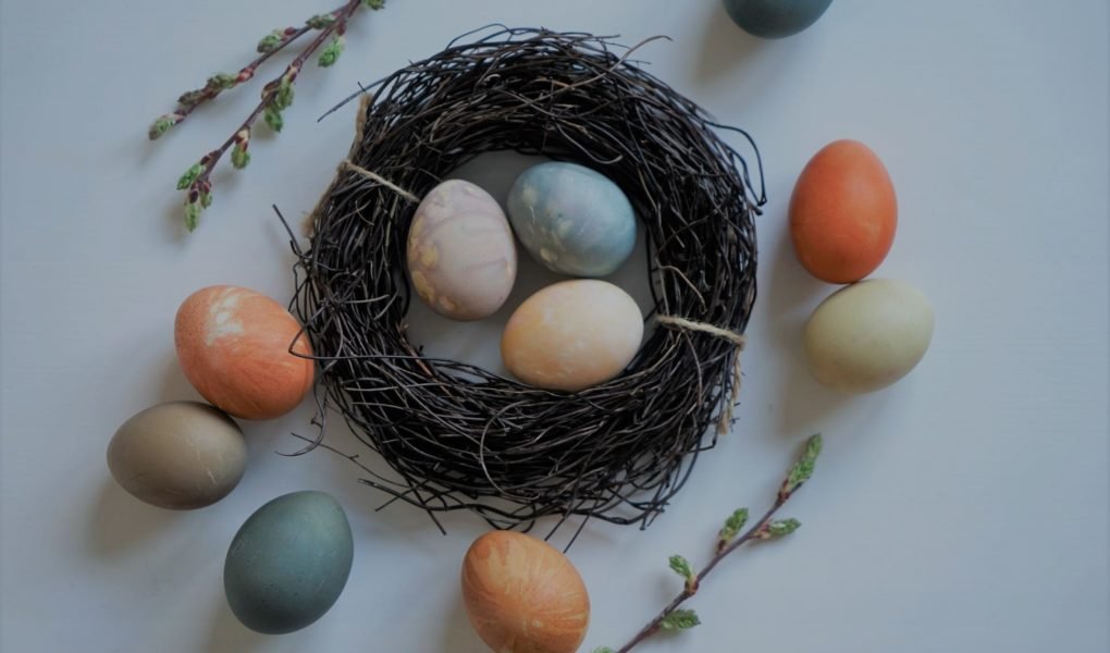 several naturally dyed easter eggs and a wooden nest
