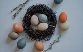 several naturally dyed easter eggs and a wooden nest