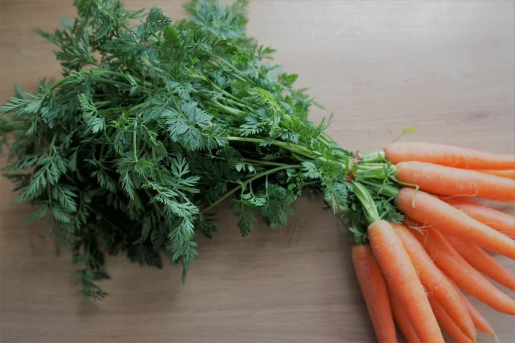 a bundle of carrots for natural dyeing easter eggs