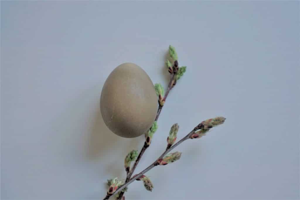 one brown easter egg, naturally dyed with beetroot