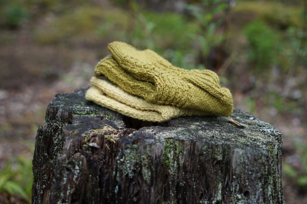 two socks (yellow and green) folded up and laying on a tree stump