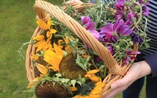 basket full of garden plants for natural dyeing