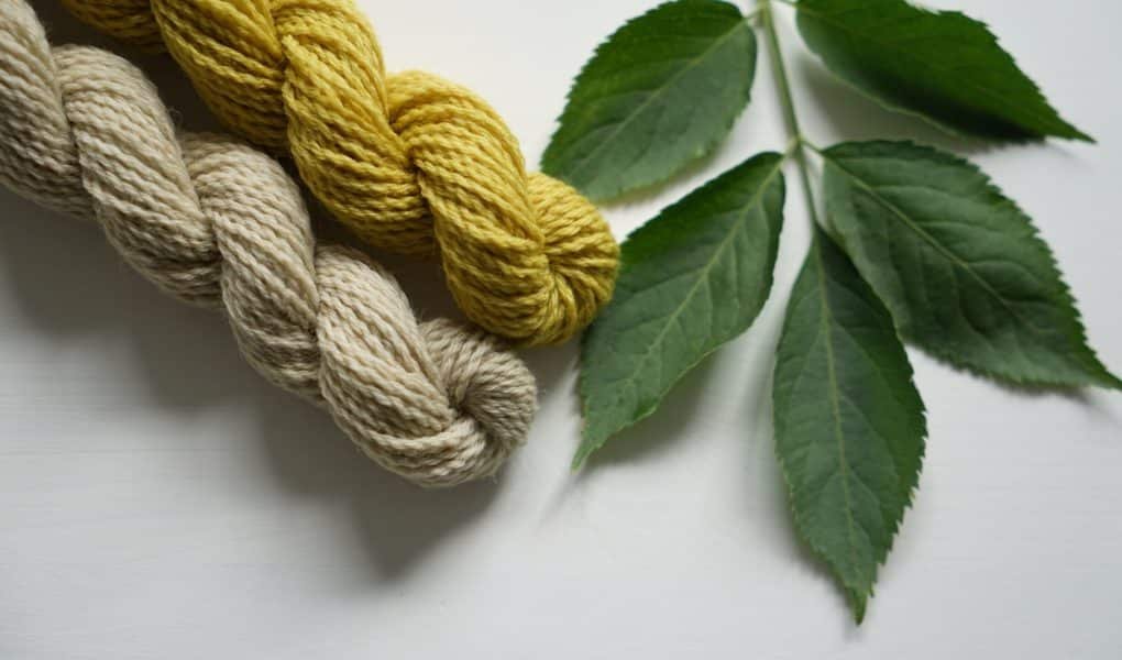 naturally dyed yarn with elderberries