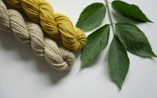 naturally dyed yarn with elderberries