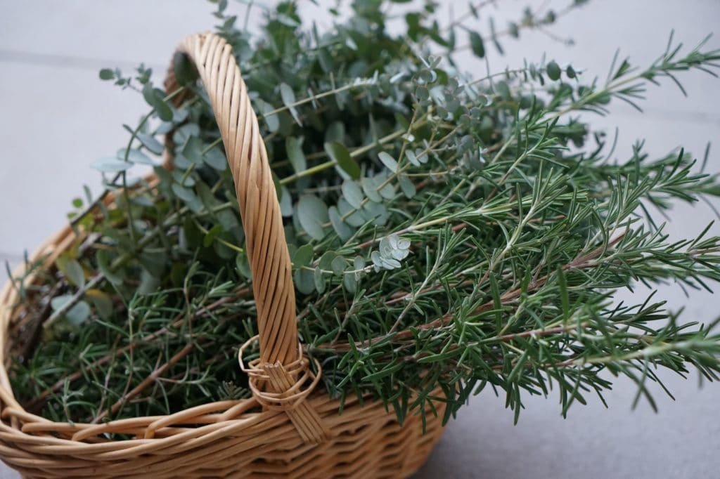 Natural Green Dyes for Yarn and Fabric - Rosemary And Pines Fiber Arts