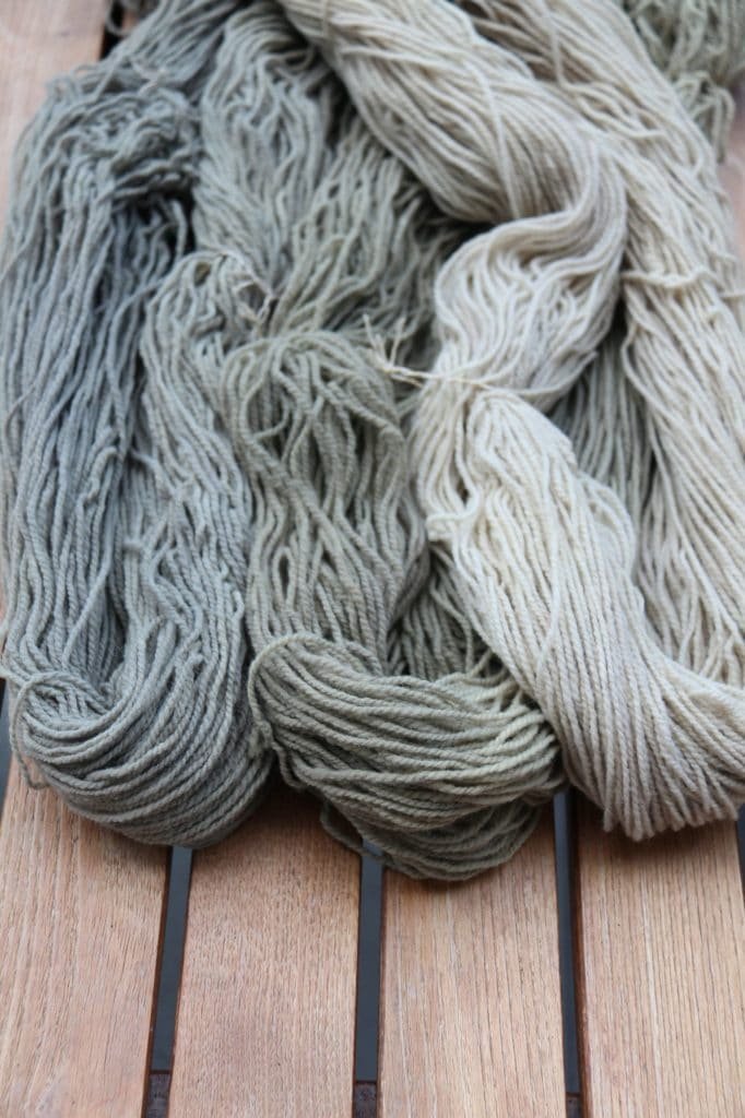 hanks of yarn dyed with rose petals and eucalyptus