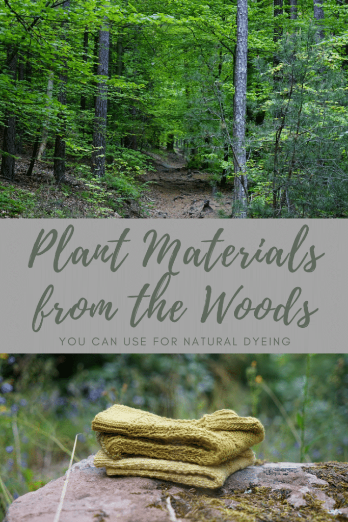 7 plant materials from the woods you can use for natural dyeing pinterest graphic
