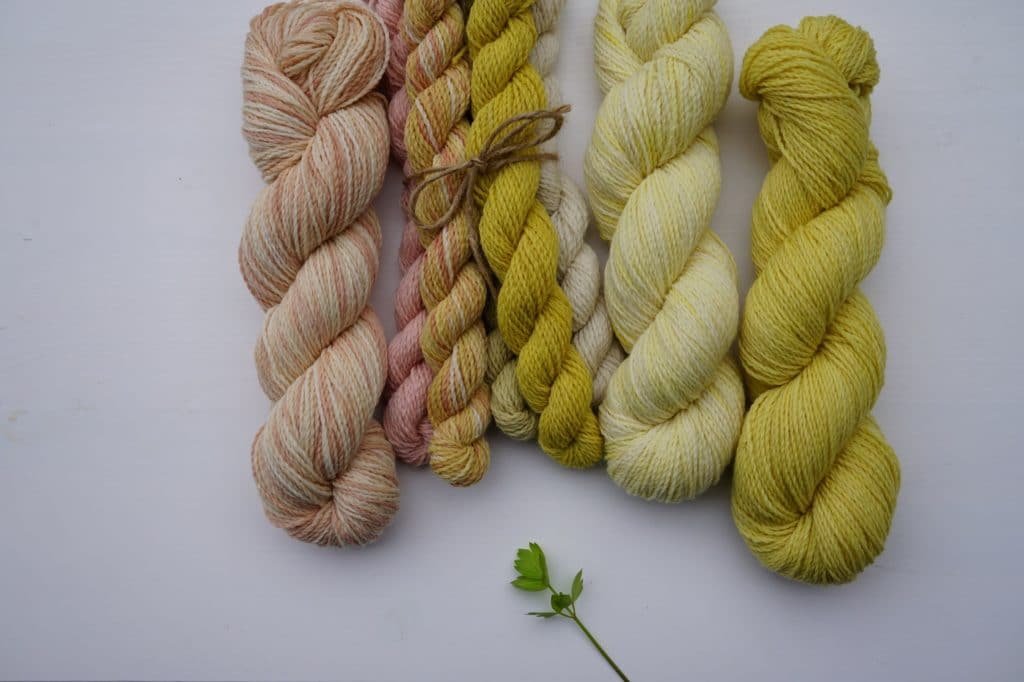 naturally dyed skeins of yarns in yellows and pinks