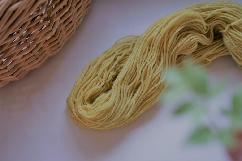 skein of yarn naturally dyed with Queen Anne's Lace (wildflowers you can use for natural dyeing)