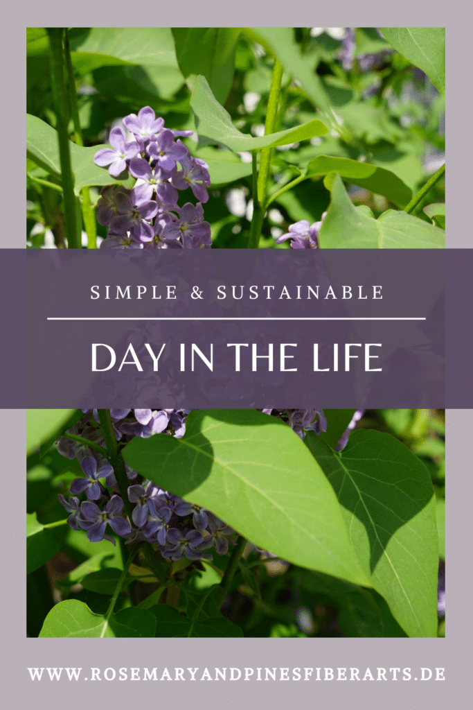simple & sustainable day in the life pinterest graphic
