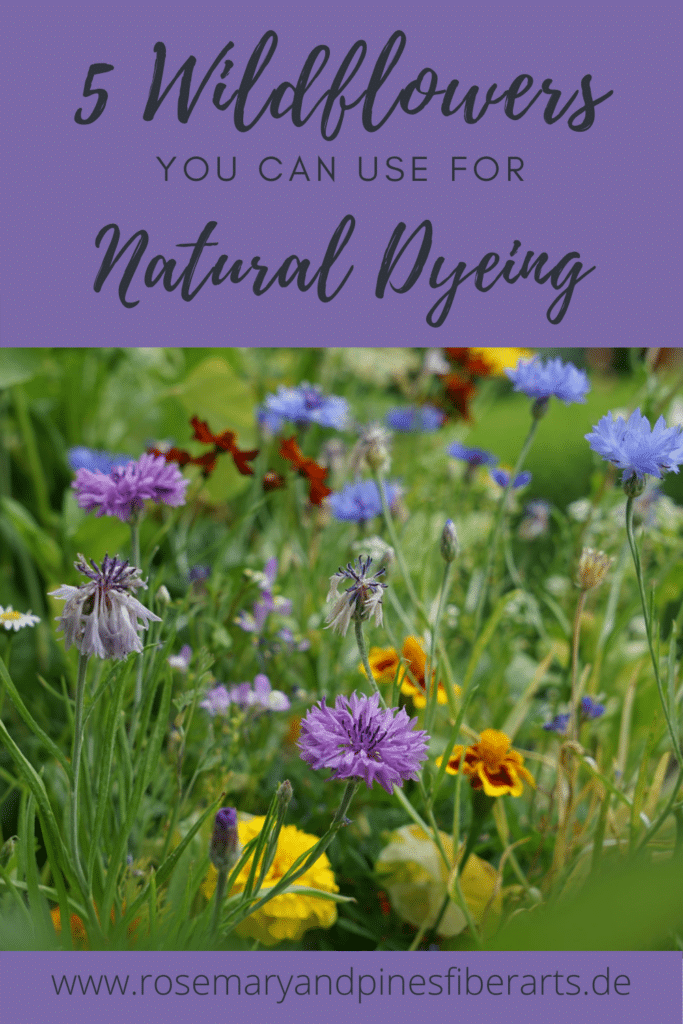 5 weeds & wildflowers you can use for natural dyeing flower meadow