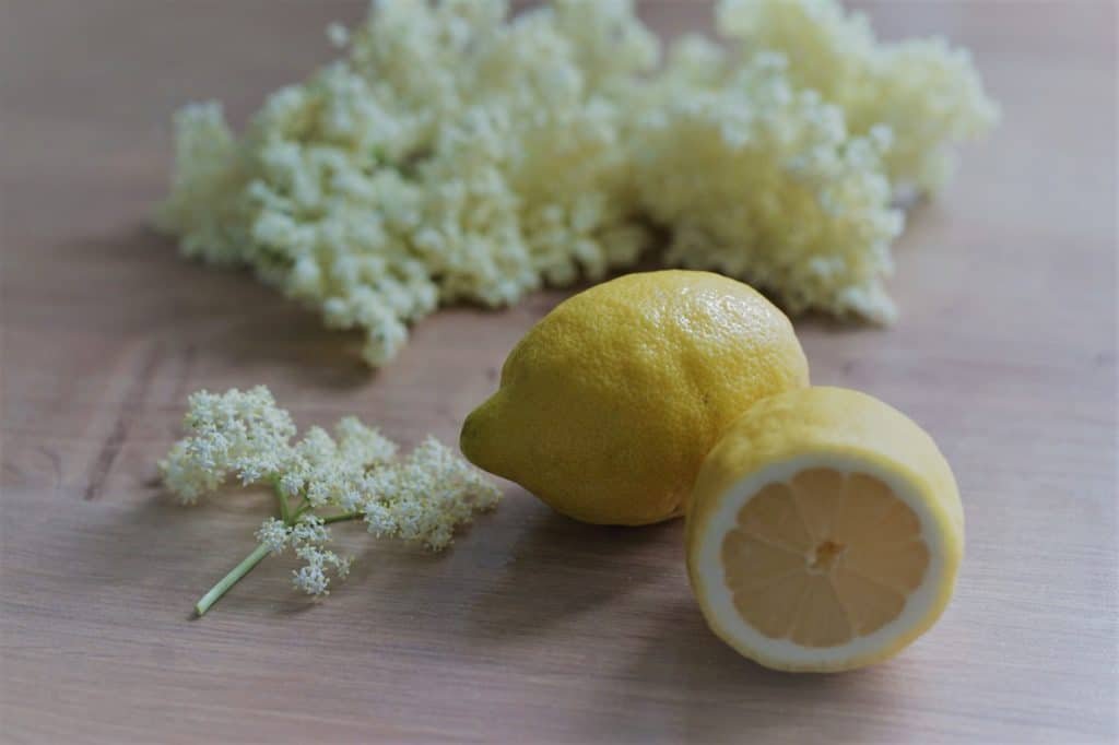 elderflower umbels and lemons as ingredients for making elderflower cordial