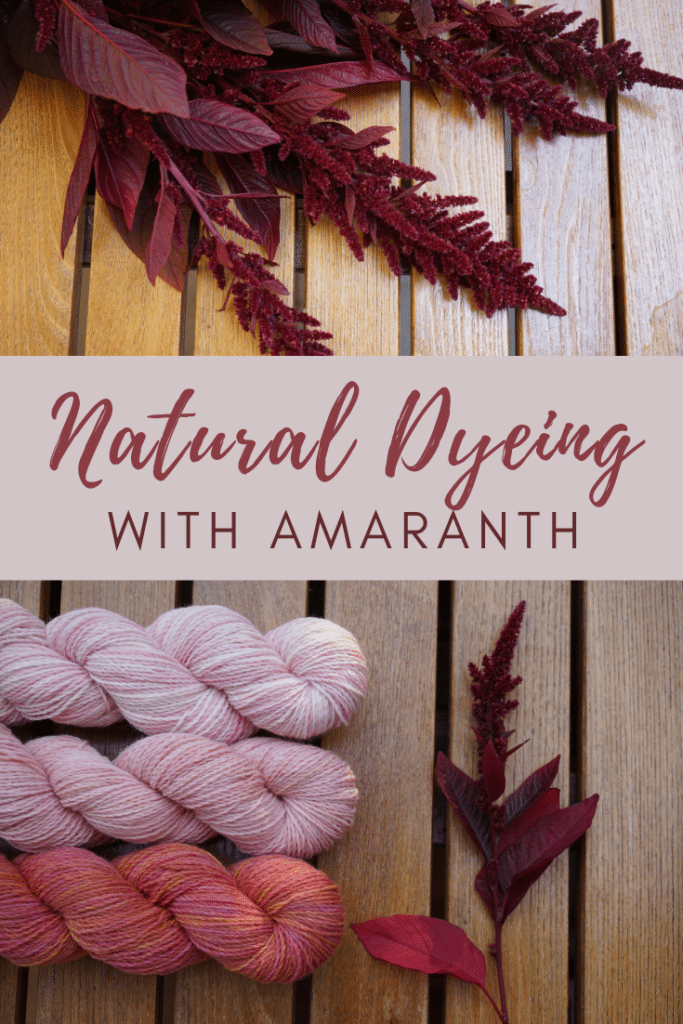 natural dyeing with amaranth pinterest graphoc