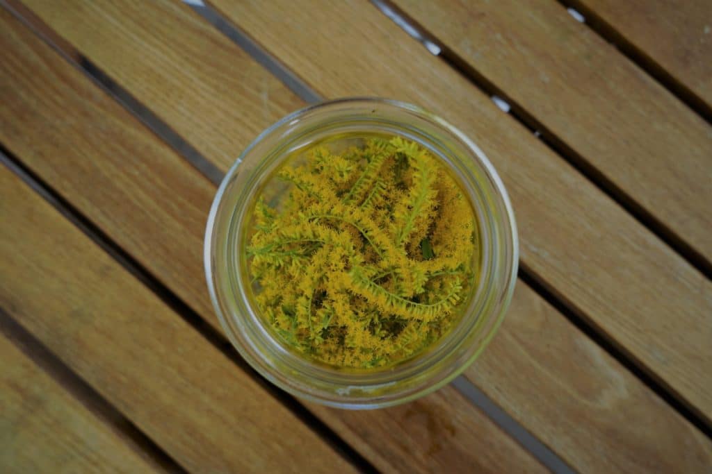 goldenrod flowers in a glass jar on a wooden table
