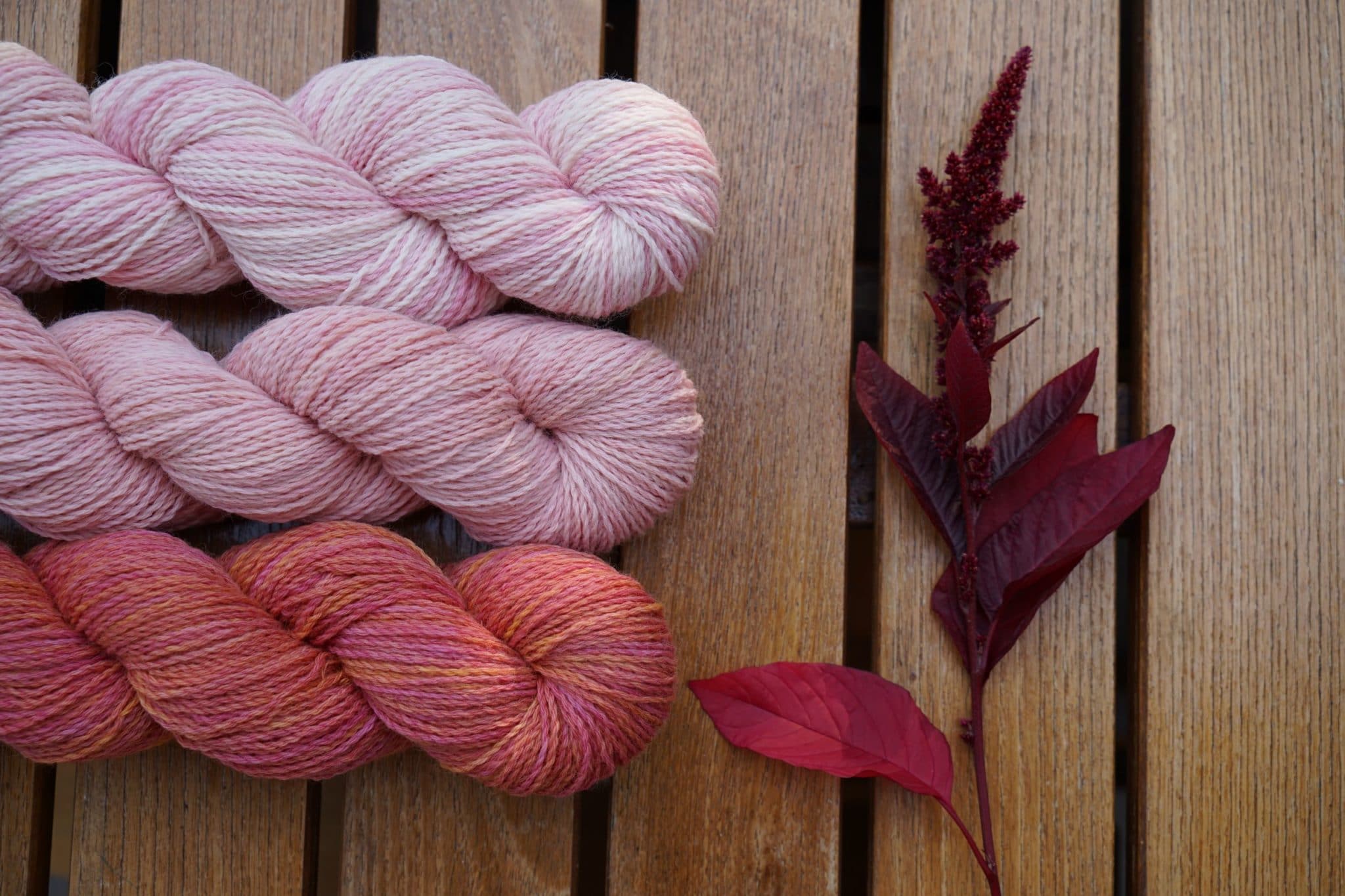 Natural Dyeing With Amaranth - Rosemary And Pines Fiber Arts