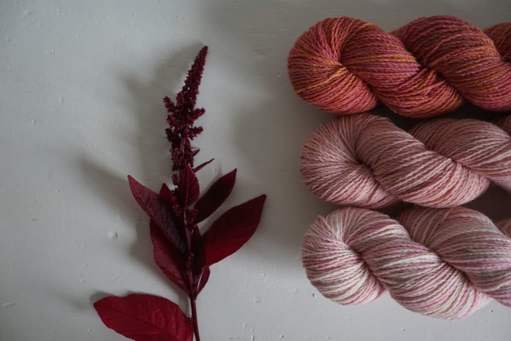 three skeins of yarn and an amaranth hopi red dye on a white surface