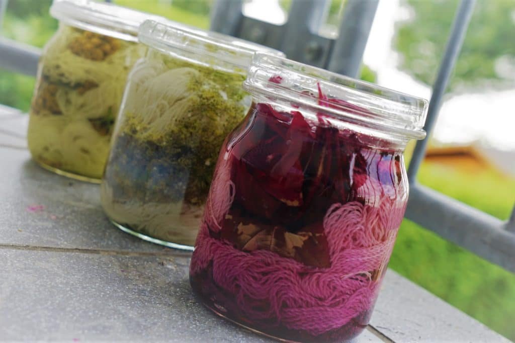 three glass jars with yarn and dyestuff in them for solar dyeing