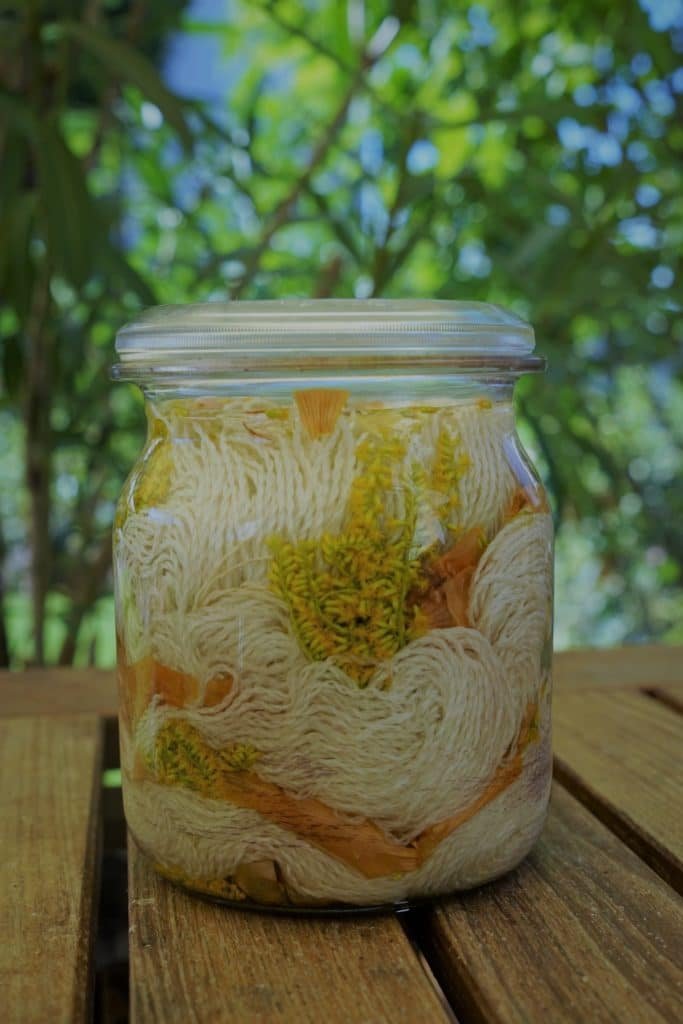 glass jar prepped for solar dyeing