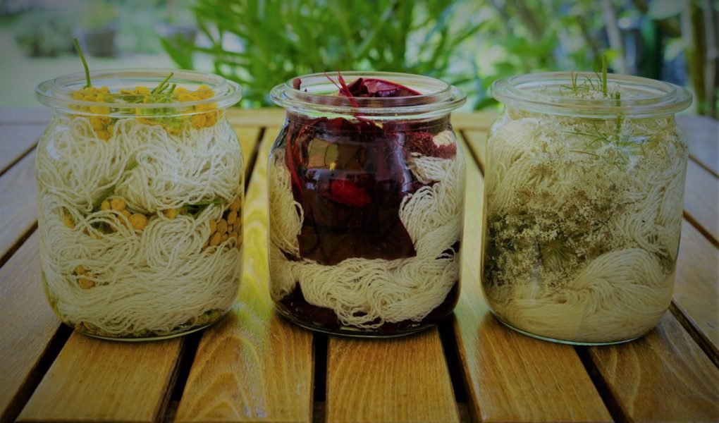three glass jars prepped for solar dyeing