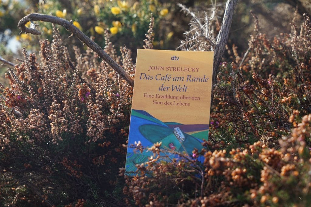 a copy of the café on the edge of the world by John Strelecky laying in a field of dried heather
