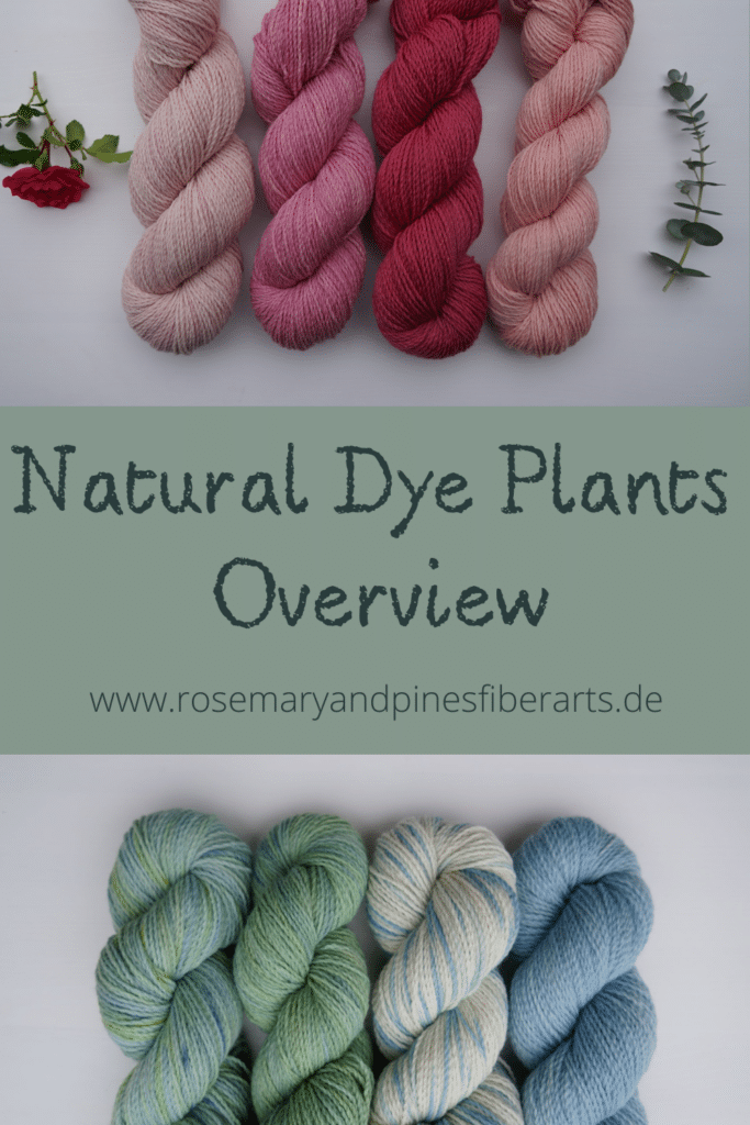 natural dye plants overview pinterest graphic