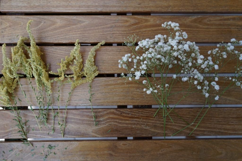 glysophila and goldenrod dried flowers
