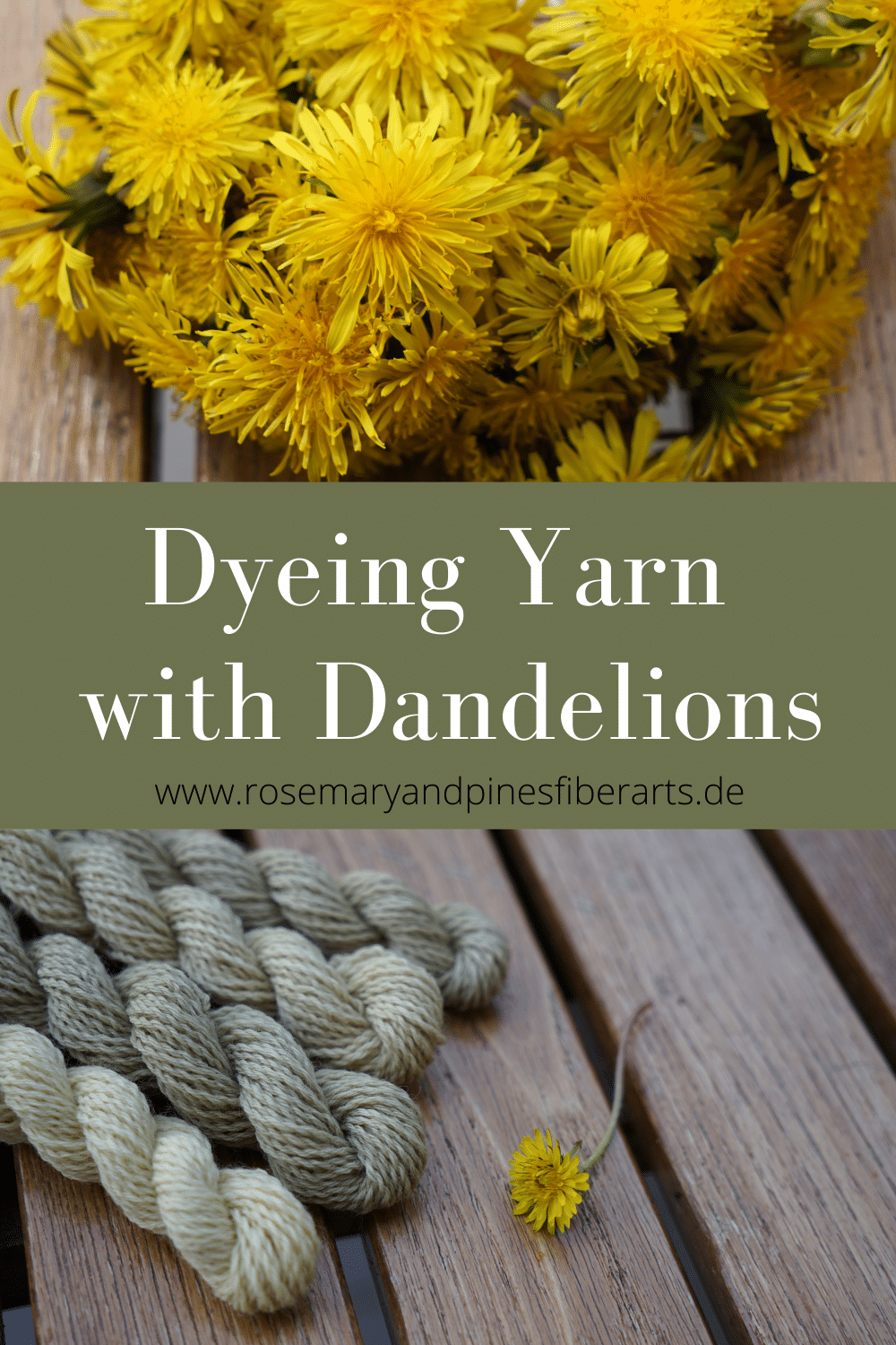 two pictures, one with a bunch of dandelion flowers and one with four mini skeins of yarn which were botanically dyed with dandelions