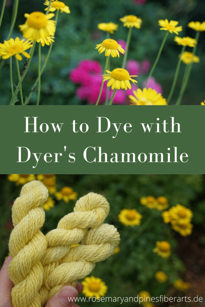 how to dye with dyer's chamomile pinterest graphic