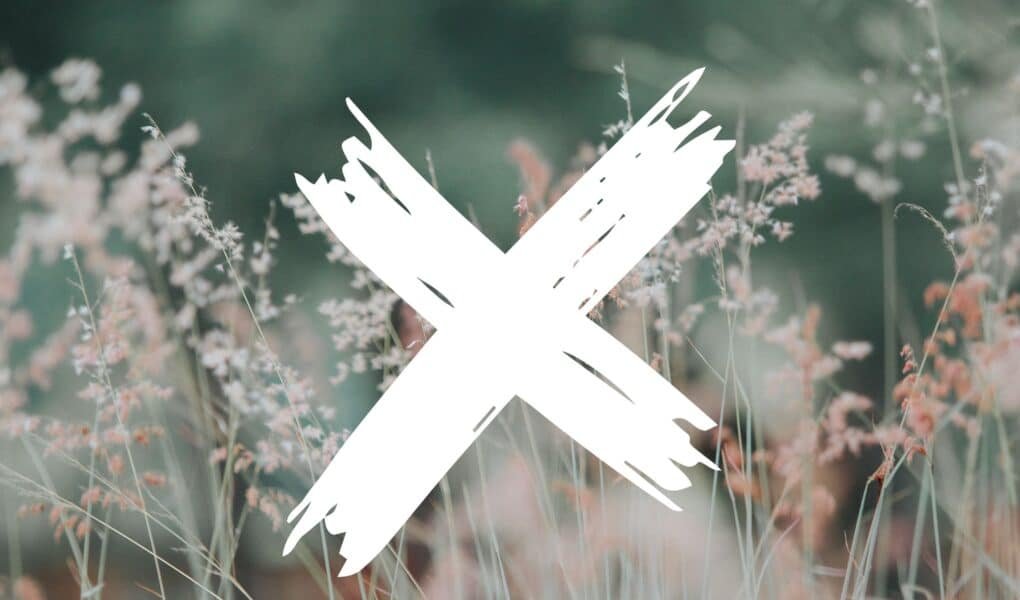blurry field of wildflowers and a white cross graphic in front of it