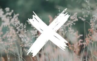 blurry field of wildflowers and a white cross graphic in front of it