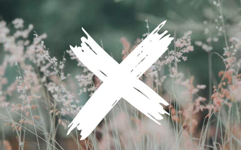 blurry field of wildflowers and a white cross graphic in front of it
